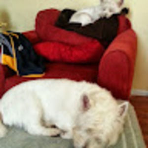 Meet your Posher, Mary